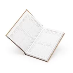 Agenda Diária 2025 Grande Personalizada Agenda Diária 2025 Grande Personalizada