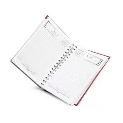 Agenda Diária 2025 Personalizada Agenda Diária 2025 Personalizada