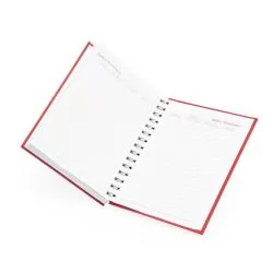Agenda Diária 2025 Wire-o Personalizada Agenda Diária 2025 Wire-o Personalizada