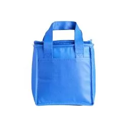 Bolsa Térmica 5 Litros TNT Personalizada Bolsa Térmica 5 Litros TNT Personalizada
