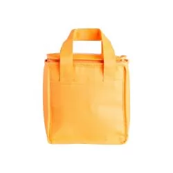 Bolsa Térmica 5 Litros TNT Personalizada Bolsa Térmica 5 Litros TNT Personalizada