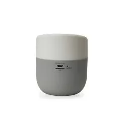 Caixa de Som com Carregador por Indução Personalizada Caixa de Som com Carregador por Indução Personalizada