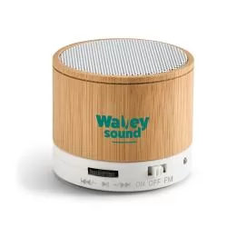Caixa de som com microfone Personalizada Caixa de som com microfone Personalizada
