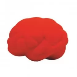 Cérebro Anti Stress em Vinil Personalizado Cérebro Anti Stress em Vinil Personalizado