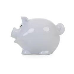 Cofre Plástico Porquinho Personalizado Cofre Plástico Porquinho Personalizado