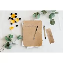 Conjunto de esferográfica e lapiseira Personalizado Conjunto de esferográfica e lapiseira Personalizado