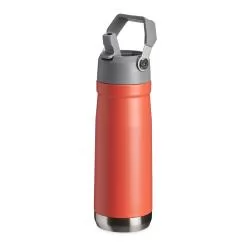 Garrafa Térmica 650ml Personalizada Garrafa Térmica 650ml Personalizada